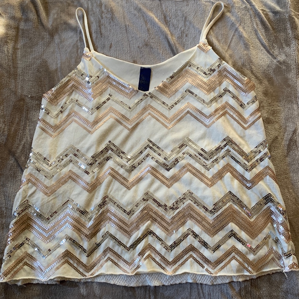 Blue Rain Cream Sequin Top